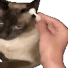 👂