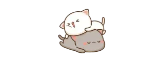 🫖 gatti, carino, kawaii, adesivo, cartone animato, animali, giocoso telegram sticker