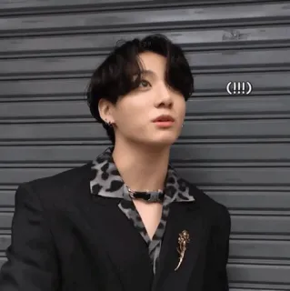 🕸 Jungkook !!!! kpop, bts, jungkook, cantor, masculino, ídolo telegram sticker
