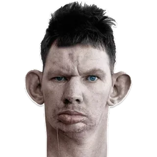 🗿 ritratto, uomo, faccia, orecchio, serio, espressione telegram sticker