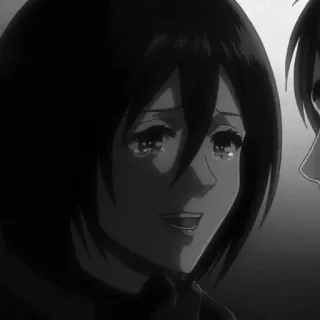 🗡 Mikasa Ackerman Attack on Titan anime, chorando, triste, lágrimas, emoção, ataque dos titãs, Mikasa, animado telegram sticker