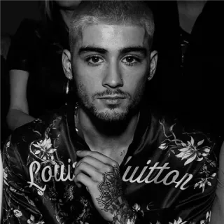 ▪️ Zayn Malik Louis Vuitton người đàn ông, chân dung, ca sĩ, Louis Vuitton, thời trang telegram sticker