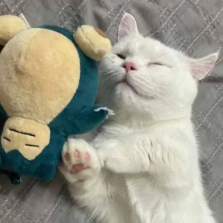 коты :: @fStikBot telegram stickers