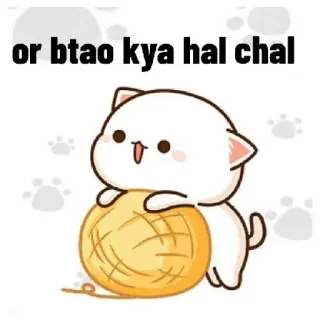 😄 or btao kya hal chal 猫, 毛糸, 可愛い, かわいい, ペット, 漫画 whatsapp sticker
