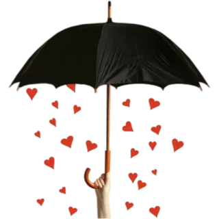 ☔ 우산, 하트, 사랑, 하트 비, 로맨틱 telegram sticker