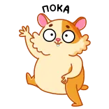 👋