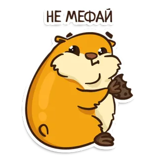 😐 НЕ МЕФАЙ hamster, cookie, mignon, animal whatsapp sticker