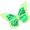 🦋