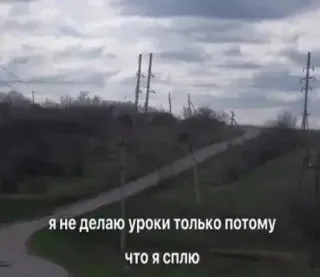 🤧 я не делаю уроки только потому что я сплю Straße, Natur, Schlaf, Schule telegram sticker