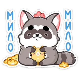 ☺️ МИЛО szop pracz, słodki, kawaii, uroczy, zwierzę, kreskówka, zwierzę domowe whatsapp sticker