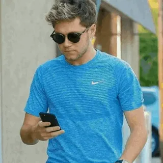 🌿 Niall Horan Niall Horan, cantante, celebridad, paparazzi, camisa azul, gafas de sol telegram sticker