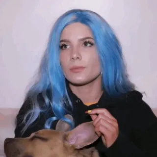 💧 Halsey Sänger, Frau, Hund, blaue Haare, Promi, Person telegram sticker