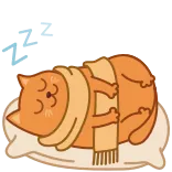😴 cat, sleeping, scarf, animal, cute, cozy, pillow, orange whatsapp sticker