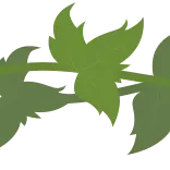 Разделители ч.6 @Sticker_Awwww telegram emojis 🌿