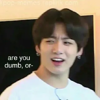 💦 are you dumb, or- Meme, Engraçado, Kpop, Reação, Expressão, Você é burro? telegram sticker
