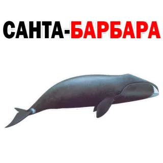 🙈 Santa Barbara САНТА-БАРБАРА santa barbara, paus, acara tv, rusia, retro telegram sticker