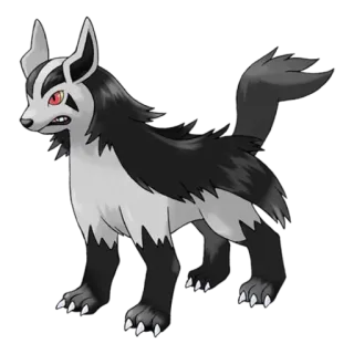 👿 Mightyena Pokemon pokemon, mightyena, hond, dier telegram sticker