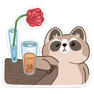 😐 rakun, bunga, minuman, imut, hewan, kartun whatsapp sticker