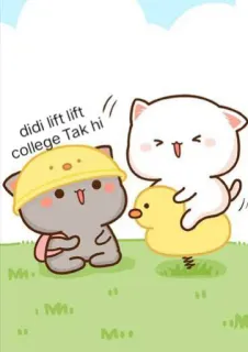 😂 didi lift lift college Tak hi cute, kawaii, cats, duck, playground whatsapp sticker