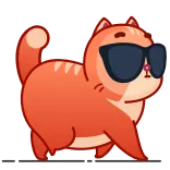😎