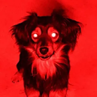 😡 pies, zwierzę, oczy, czerwony, straszny, przerażający telegram sticker