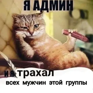 😎 Я АДМИН
Я ТРАХАЛ
всех мужчин этой группы gatto, admin, offensivo, russo, umorismo, meme telegram sticker