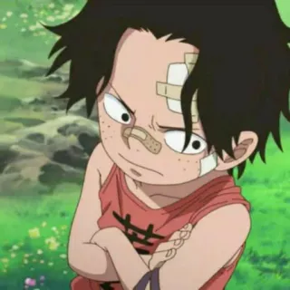 🔥 Ace One Piece Anime, Cartone animato, Ferito, Bambino, Manga, One Piece, Ace telegram sticker