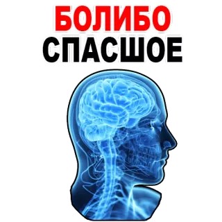 😊 БОЛИБО
СПАШОЕ brain, head, anatomy, russian, text telegram sticker