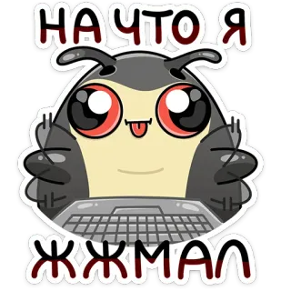 🤪 НА ЧТО Я ЖЖМАЛ stiker, kartun, binatang, laptop whatsapp sticker