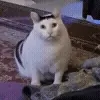🤨