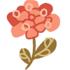 🌺