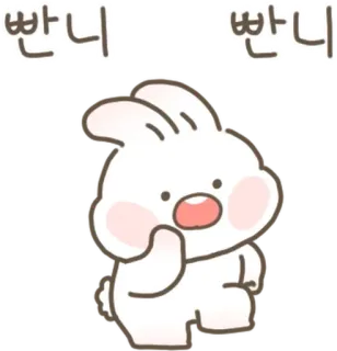 💬 빤니 빤니 coniglio, carino, animale, illustrazione, adesivo telegram sticker