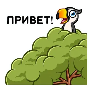 👋 ПРИВЕТ! pássaro, cumprimento, russo, olá, desenho animado telegram sticker