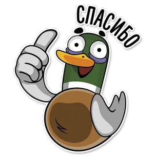 😉 СПАСИБО kaczka, kreskówka, dziękuję, słodki, zwierzę, ptak, cyrylica telegram sticker