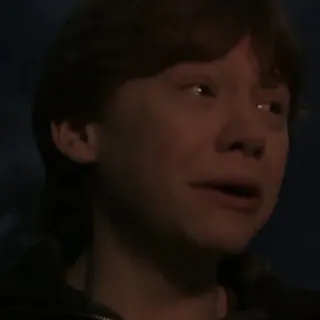 🦁 Ron Weasley Harry Potter ロン・ウィーズリー, ハリー・ポッター, 映画, キャラクター, 魔法使い, ルパート・グリント telegram sticker