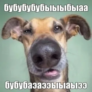 Больше стиков тут: @stikery4 telegram stickers