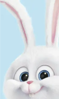 😏 Snowball The Secret Life of Pets bunny, rabbit, white, cute, animal, pet, cartoon telegram sticker