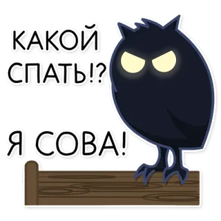 🌙 КАКОЙ СПАТЬ!? Я СОВА! owl, sleep, night, animal, cartoon, bird telegram sticker