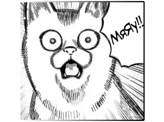 😱 МЯЯУ!! gatto, carino, animale, miao, russo, divertente, fumetto telegram sticker