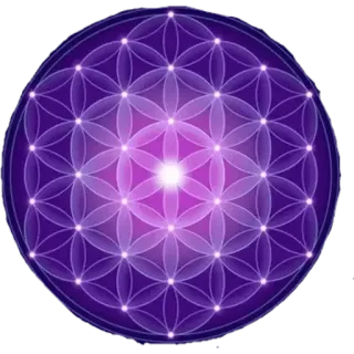 🐶 géométrie sacrée, fleur de vie, spirituel, méditation, motif whatsapp sticker