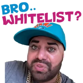 🤡 BRO..WHITELIST? Мем, Белый список, Бро, Выражение, Мужчина, Шляпа whatsapp sticker