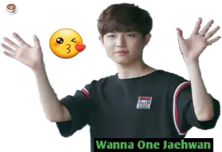 wannaone whatsapp stickers