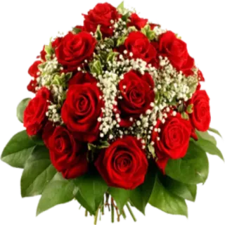 💐 цветы, розы, букет, красный, природа, романтика whatsapp sticker