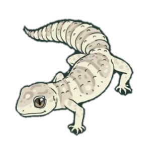 👀 Eidechse, Gecko, Tier, Reptil telegram sticker