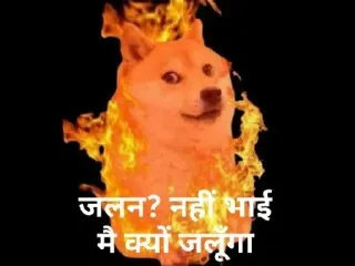 🔥 जलन? नहीं भाई
मै क्यों जलूंगा pies, ogień, mem, doge, płonący, hindi telegram sticker