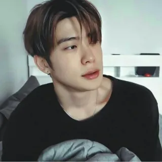 🦥 whatsapp sticker