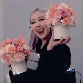 🍐 Rose kpop, rosa, blackpink, cantante, flores, lindo, rosa telegram sticker