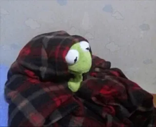 😭 Kermit the Frog The Muppets whatsapp sticker