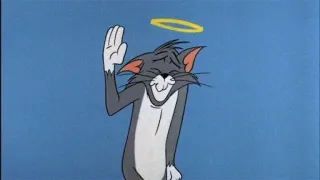 ✋ Tom Cat Tom and Jerry Katze, Cartoon, Halo, Engel, friedlich, lustig whatsapp sticker