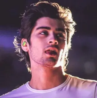 👑 Zayn Malik Sänger, Promi, Porträt, Musik, Person telegram sticker